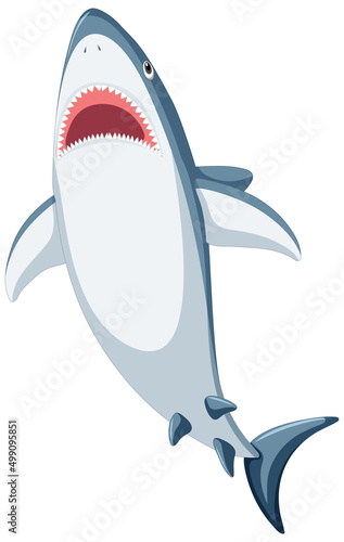 Great white shark cartoon