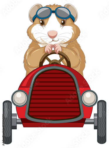 Guinea pig driving car toy cartoon