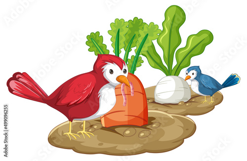 Two birds eating worm in garden