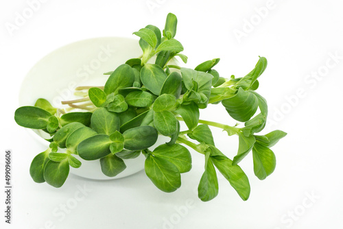 Sunflower and pea microgreens in a bowl. Healthy food. Microgreens on a white background. Greens for salad.