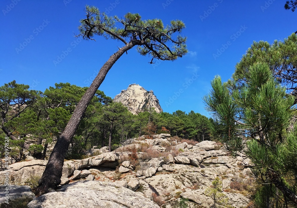 Berg im Bavellamassiv