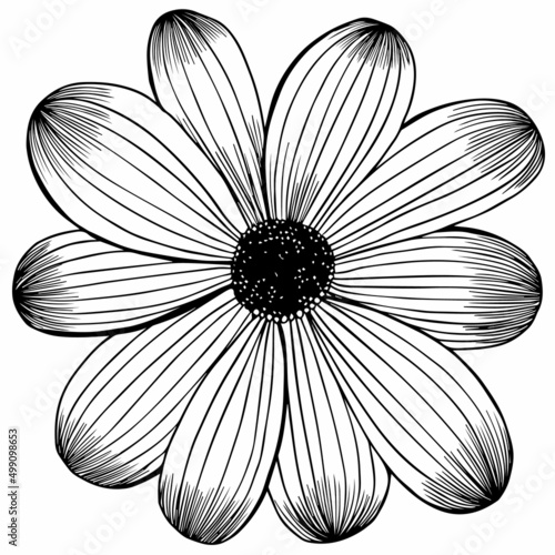 vector painting flower blooming beautiful floral