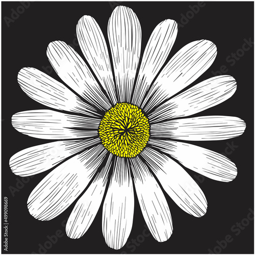 vector painting flower blooming beautiful floral
