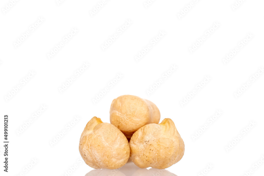 Three uncooked grains of hummus, macro, isolated on white. Three uncooked grains of hummus, macro, isolated on white.