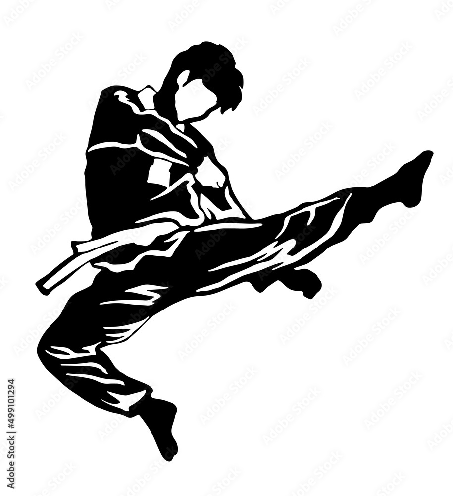 Fototapeta premium karate taekwondo illustration vector logo