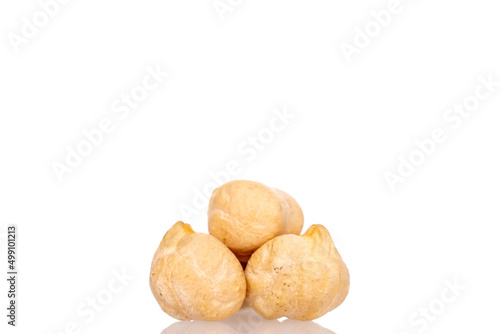 Three uncooked grains of hummus, macro, isolated on white.