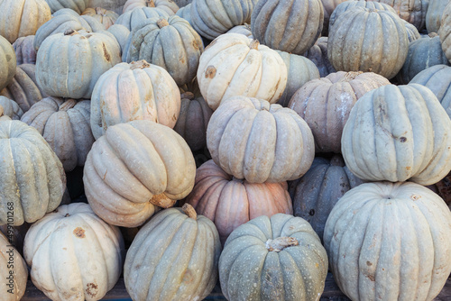 A lot of pumpkins at an open farmer's market.close-up there is a place