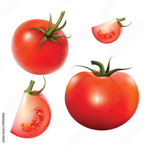 tomato 