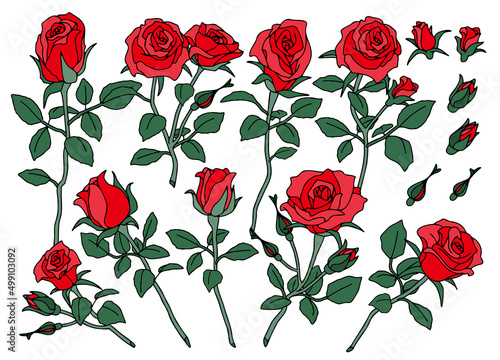 薔薇の花　セット　茎、葉有り