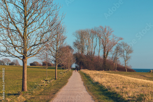 Obraz na płótnie Gravel road (path) through the field near Sønderborg, Denmark w salonie