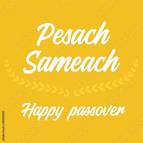 Pesach sameach mean Happy passover vector