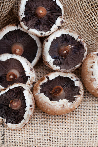 collection of Portobello mushrooms on rustic surface with copy space