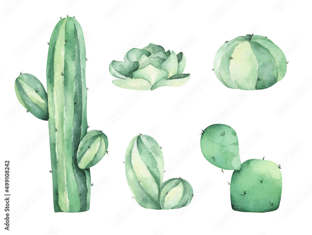 Fototapeta premium Set of Cactus. Isolated on white background. Watercolor illustration.