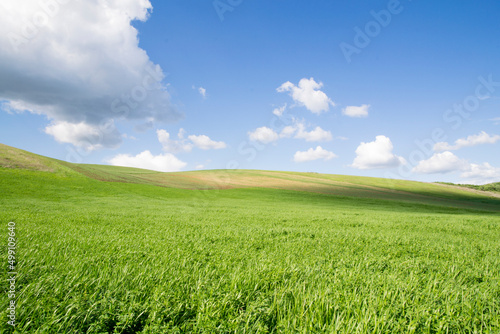 empty field in hill at summer day