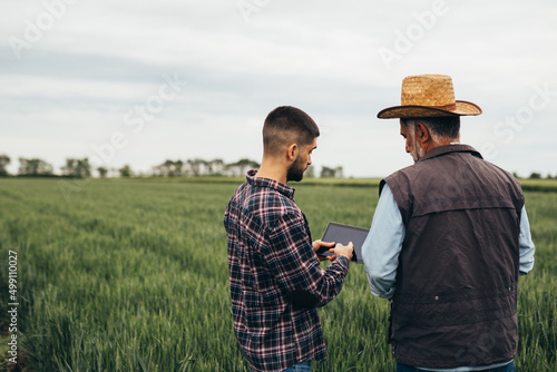 farmers talking and examine wheat plant on field