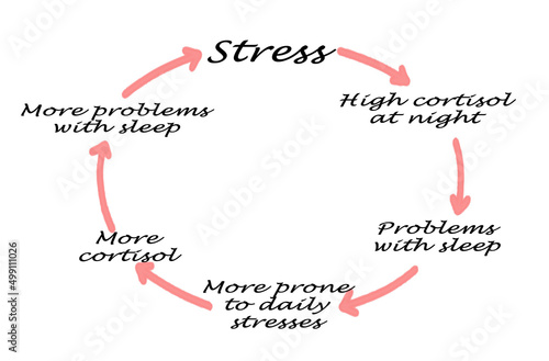 Cycle of sleep disruption and stress photo