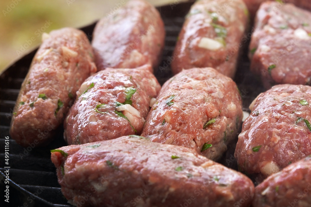 Raw minced cutlet, ground beef, lamb. Grilled kebab cutlets. Green grass background Top view. copy space Raw minced cutlet, ground beef, lamb. Grilled kebab cutlets. Green grass background Top view. copy space