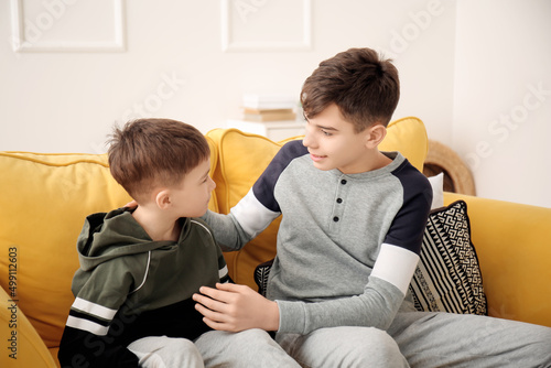 Portrait of cute brothers a...