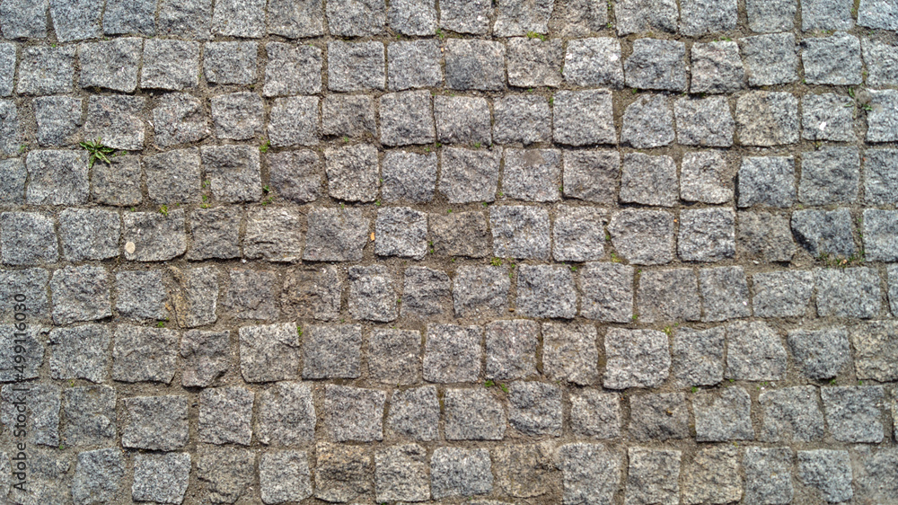 Fototapeta premium Paving stones in sunny day