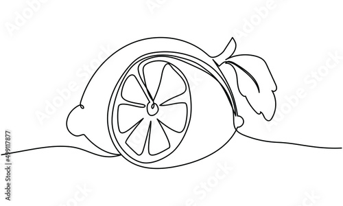 Continuous one line drawing of lemon. Vector illustration