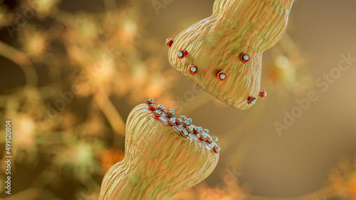 neurotransmitter release mechanisms. Neurotransmitters are packaged into synaptic vesicles transmit signals from a neuron to a target cell across a synapse. opioids, Acetylcholine release, 3d render photo