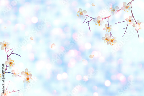 Spring landscape. Blossoming branch cherry. nature