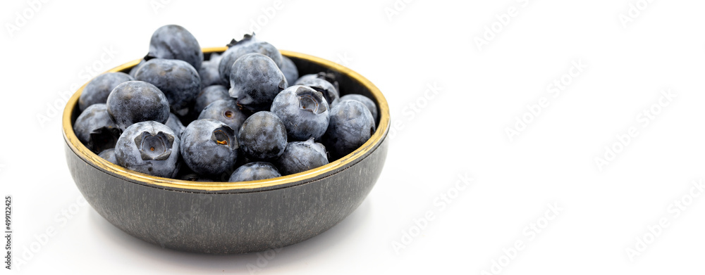 Blueberry isolated on white background. Blueberries in the bowl. Close-up. Copy space. Space for text Blueberry isolated on white background. Blueberries in the bowl. Close-up. Copy space. Space for text