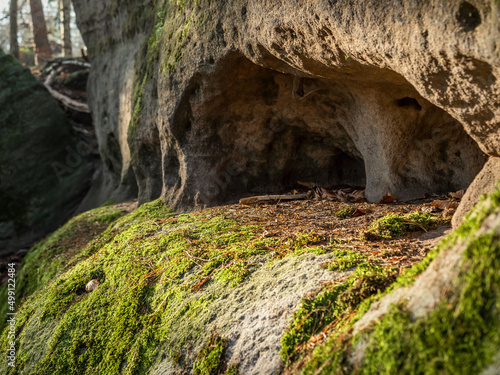 Labyrinth in der Sächsischen Schweiz - Felsöffnung mit Moos und Laub