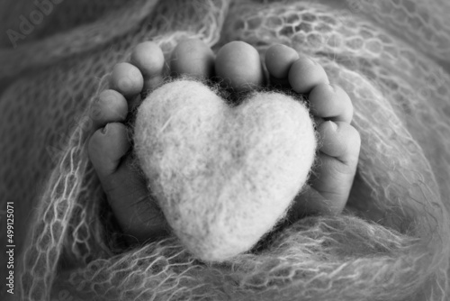 The tiny foot of a newborn baby. Soft feet of a new born in a wool blanket. Close up of toes  heels and feet of a newborn. Knitted heart in the legs of baby. Macro photography. Black and white.