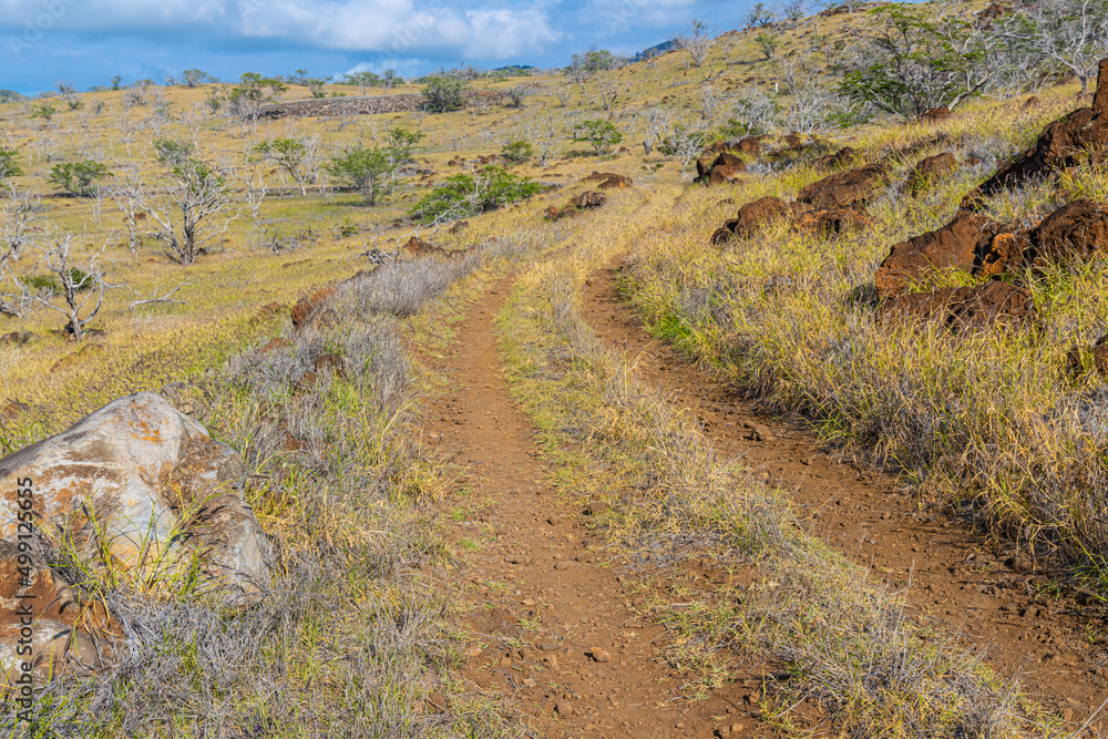 The Volcanic Landscape Along The Ala Kahakai National Historic Trail, Mahukona Beach State Park, Hawaii Island, Hawaii, USA