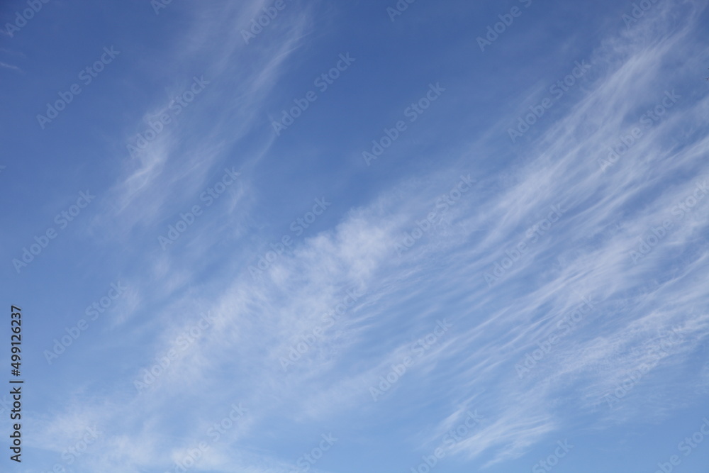 Winter blue sky with a gradient of clouds on a light white background. Sunny calm background of winter air. Bright blue landscape in daylight on the horizon.