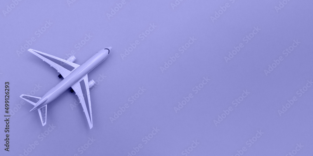 Model plane. Miniature airplane. Copy space. Banner. Toned photo. 