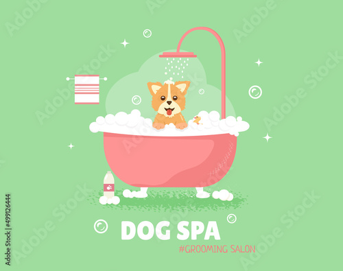 Grooming Salon. Dog spa service.