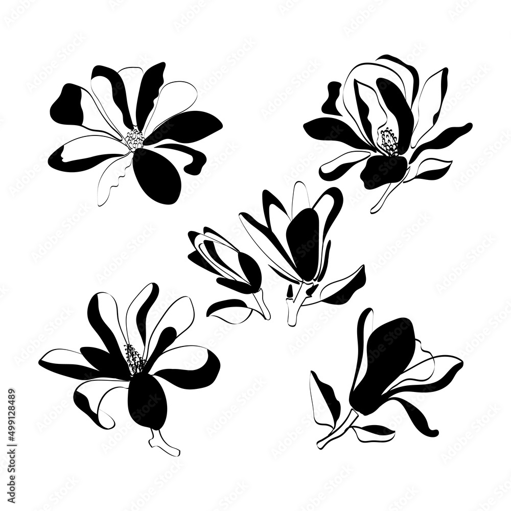 Black and white vector illustration with magnolia flowers for fabric, background, print. Black and white vector illustration with magnolia flowers for fabric, background, print.