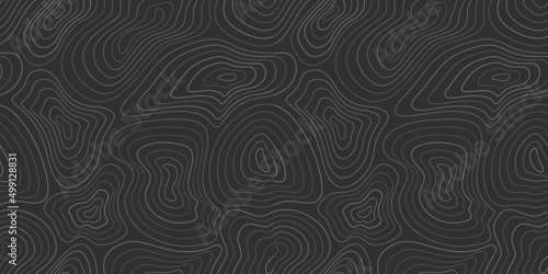 Topographic map, topographer seamless pattern, typography linear background for mapping and audio equalizer backdrop. Vector illustration. photo