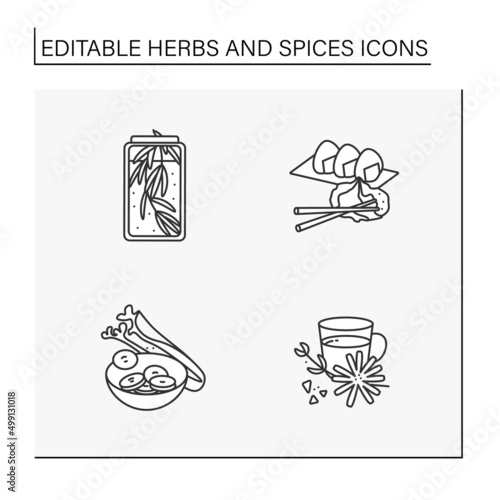 Herbs and spices line icons set. Herbs with special flavors. Rosemary, wasabi, celery and chicory. Botany concept. Isolated vector illustrations. Editable stroke