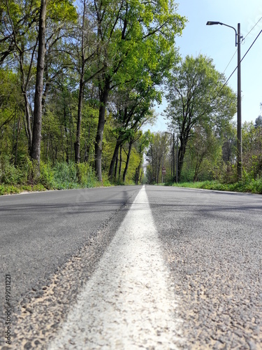 Strada asfaltata di campagna in primavera
