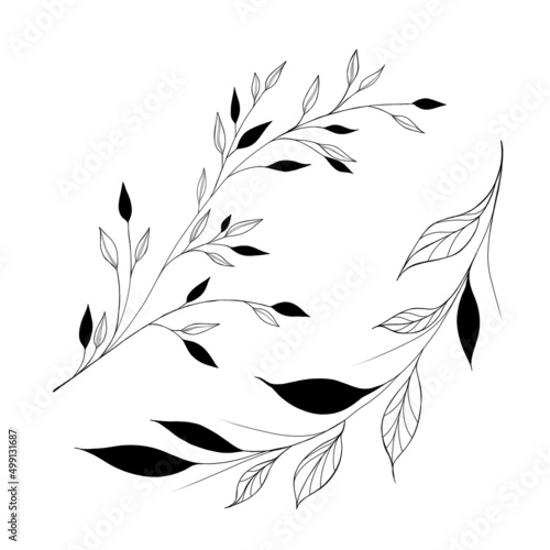 botany tattoo sketch - beautiful twig plant. Botanical element template for graphic design, wedding decor, textiles, souvenir gift, stationery print photo