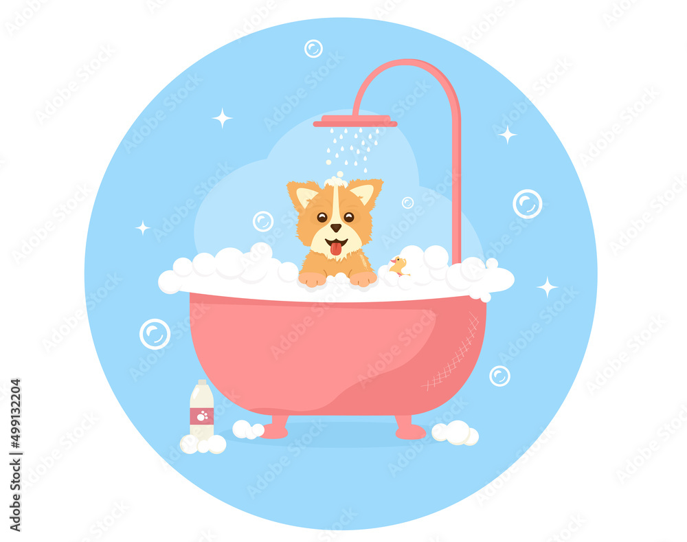 Cute dog taking shower in bath. Dog Spa Stock Vector | Adobe Stock