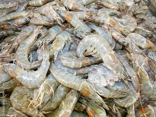 Fresh shrimp on ice at the supermarket for sell