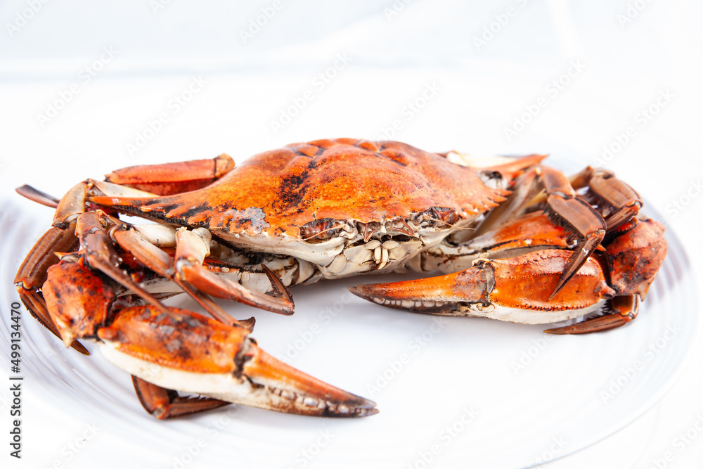 Close up of a just cooked Callinectes sapidus commonly called Jaiba in Colombia isolated on white background. Close up of a just cooked Callinectes sapidus commonly called Jaiba in Colombia isolated on white background.