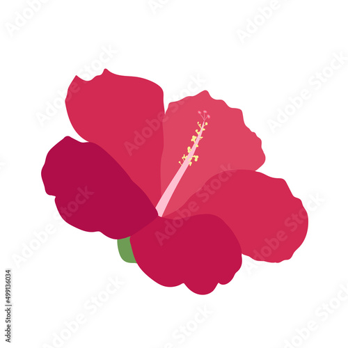 Beautiful hibiscus flowers Vector set of blooming tropical floral for holiday invitations, greeting card and fashion design Tropicania and exoticism