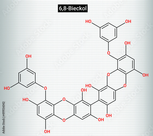 Chemical structure of 6,8-Bieckol (E. bicyclis)