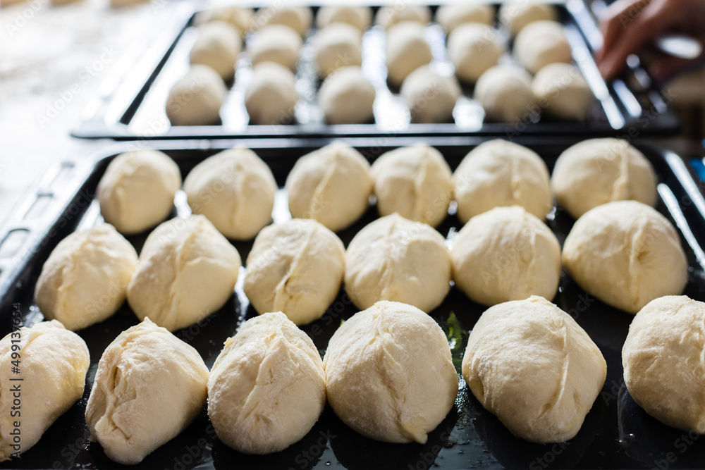 Fototapeta premium Raw pies with filling on a backing sheet.