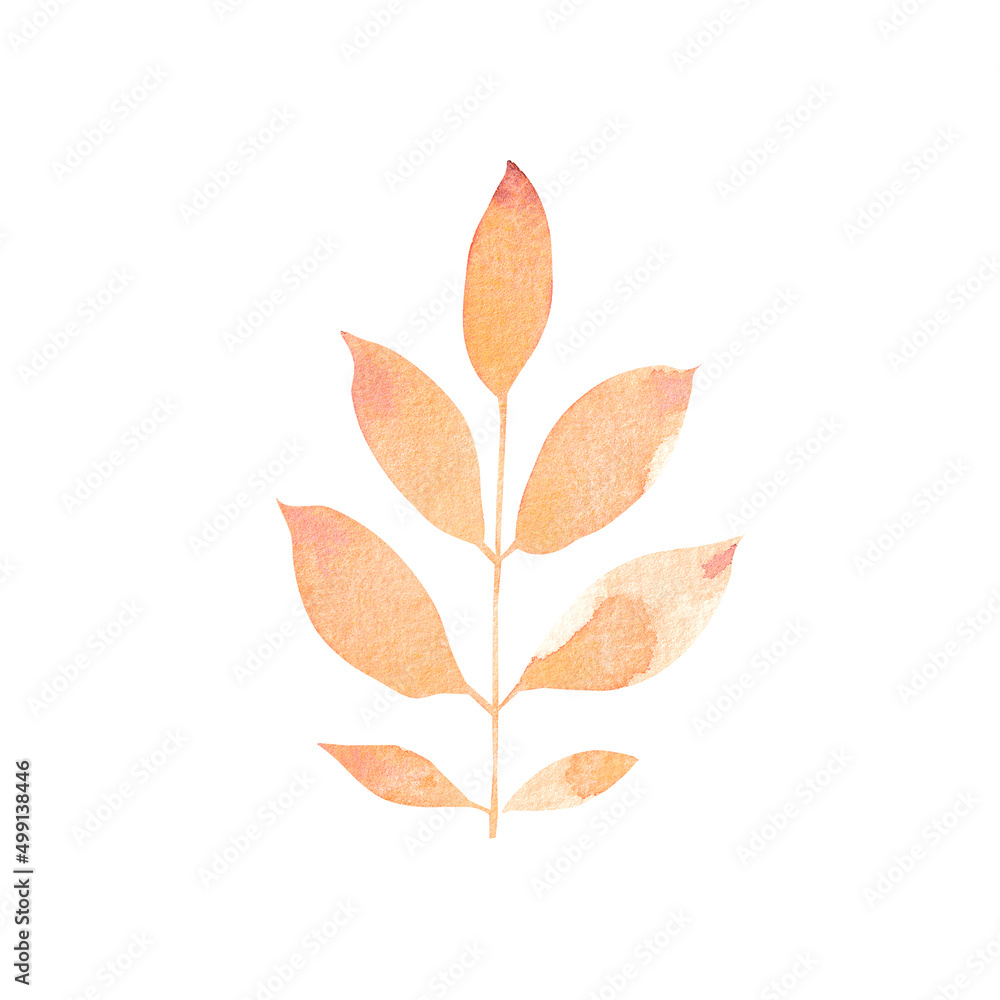 Fototapeta premium Watercolor hand-painted branch on a white background