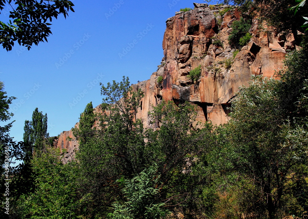 Dense green forest and overhanging rock in the Ihlara Valley in central Anatolia, Cappadocia, Turkey
