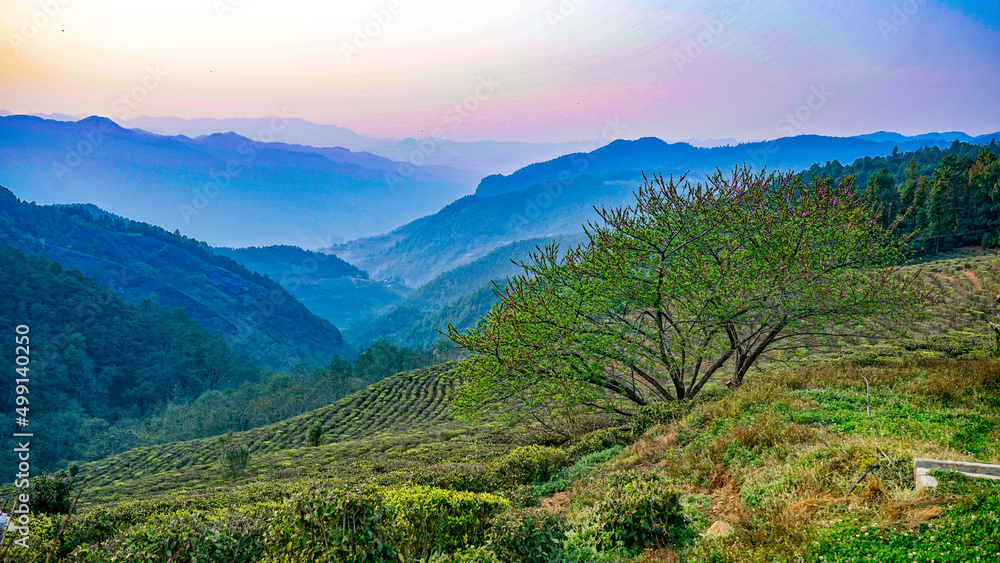 Fototapeta premium landscape with mountains