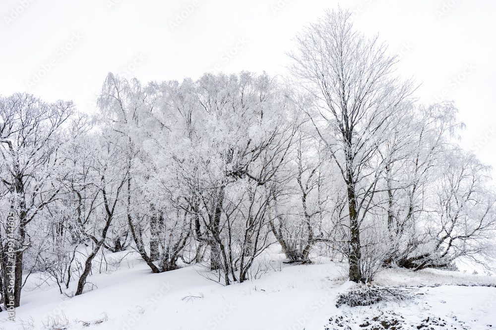 Obraz premium Covered with snow Caucasus mountain