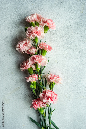 Fototapeta Naklejka Na Ścianę i Meble -  Spring bouquet with pink cloves