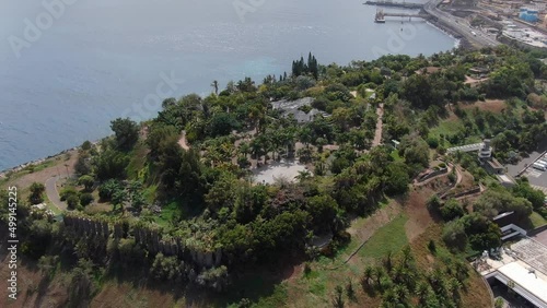 Palmetum Botanical Garden in Santa Cruz de Tenerife, Canary Islands, Spain photo